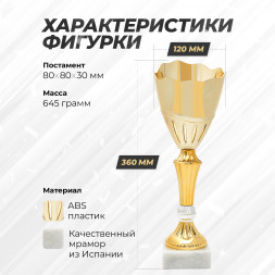 Спортивный кубок для награждения победителя 36 см