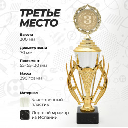 Кубок спортивный для награждения победителей, комплект из 3 шт. для 1, 2 и 3 места